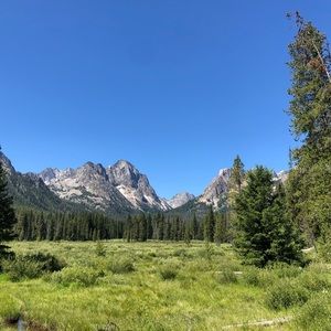 Meet your Posher, Spencer